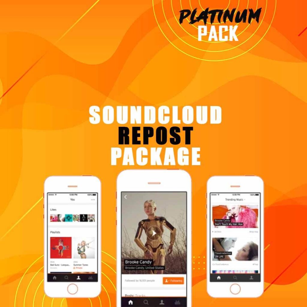 02 Platinum Pack Real Soundcloud promotion - Buy soundcloud plays - Buy SOundcloud followers - Buy Soundcloud Likes